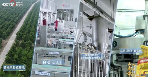 洽洽食品2022年三季度凈利潤達6.27億元，同比增長5.45%，技術服務成新增長點